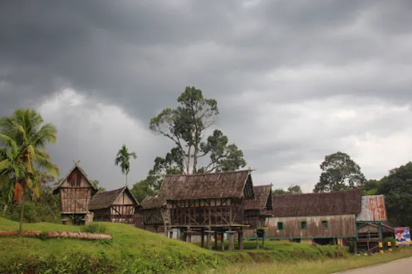 Orangutan Tour Houseboat, Dayak Culture and Longhouse Experience 7D/6N TANJUNG PUTING NATIONAL PARK